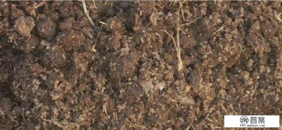 合肥长丰县左店最新农村规划？