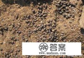 合肥长丰县左店最新农村规划？