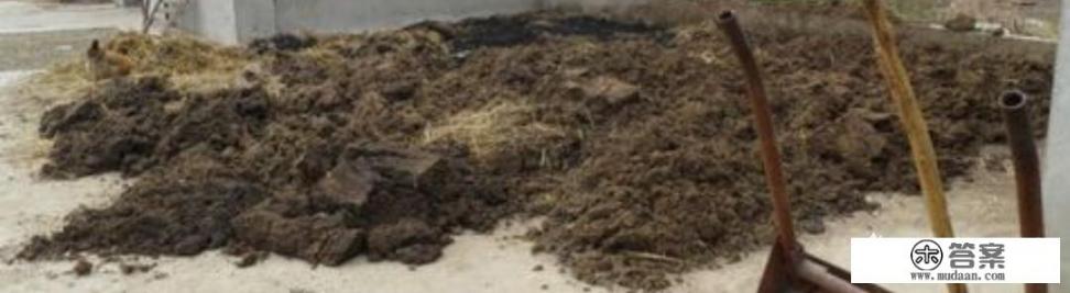 合肥长丰县左店最新农村规划？