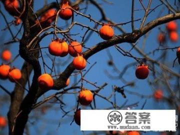 脑梗什么东西不能吃? 脑梗什么东西不能吃?