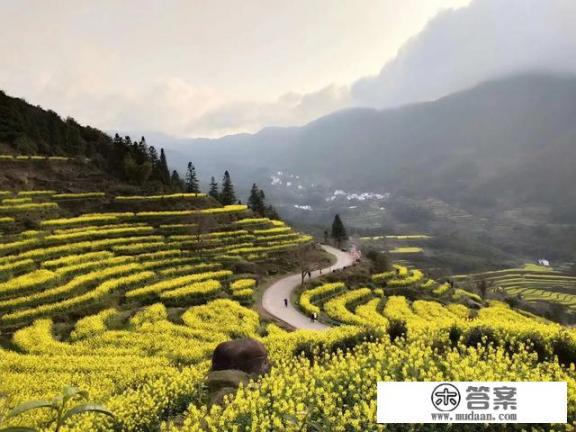 婺源什么季节去最好,推荐一下婺源的游玩路线及景点攻略之类的? 婺源什么季节去最好,推荐一下婺源的游玩路线及景点攻略之类的?