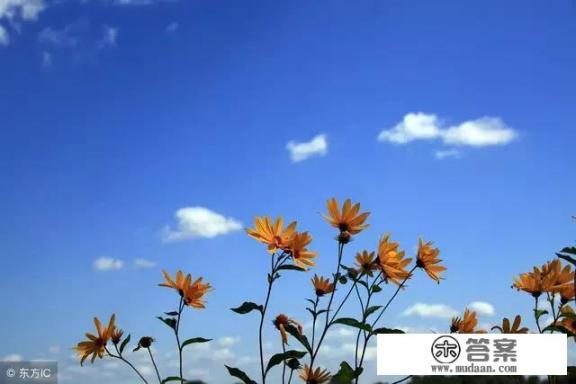 珠海爱情邮局几点灯亮？