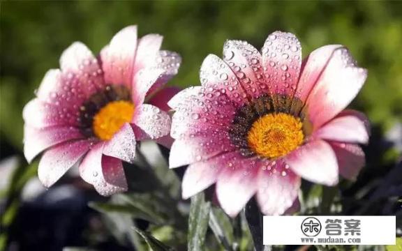 珠海爱情邮局几点灯亮？