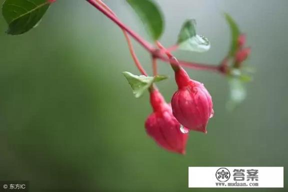 珠海爱情邮局几点灯亮？