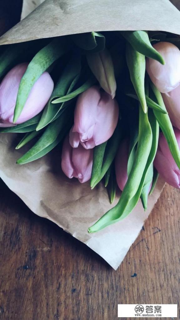 网络红人西红士的另类生活为何如此自信？