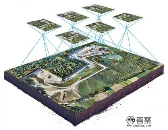 西藏察隅最高的树? 西藏察隅最高的树?