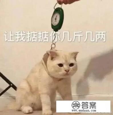 有什么手机游戏画面精美,时装漂亮? 有什么手机游戏画面精美,时装漂亮?