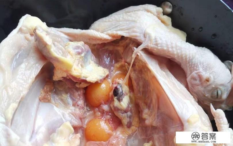 三黄鸡,为什么长得快？