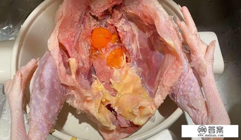 三黄鸡,为什么长得快？