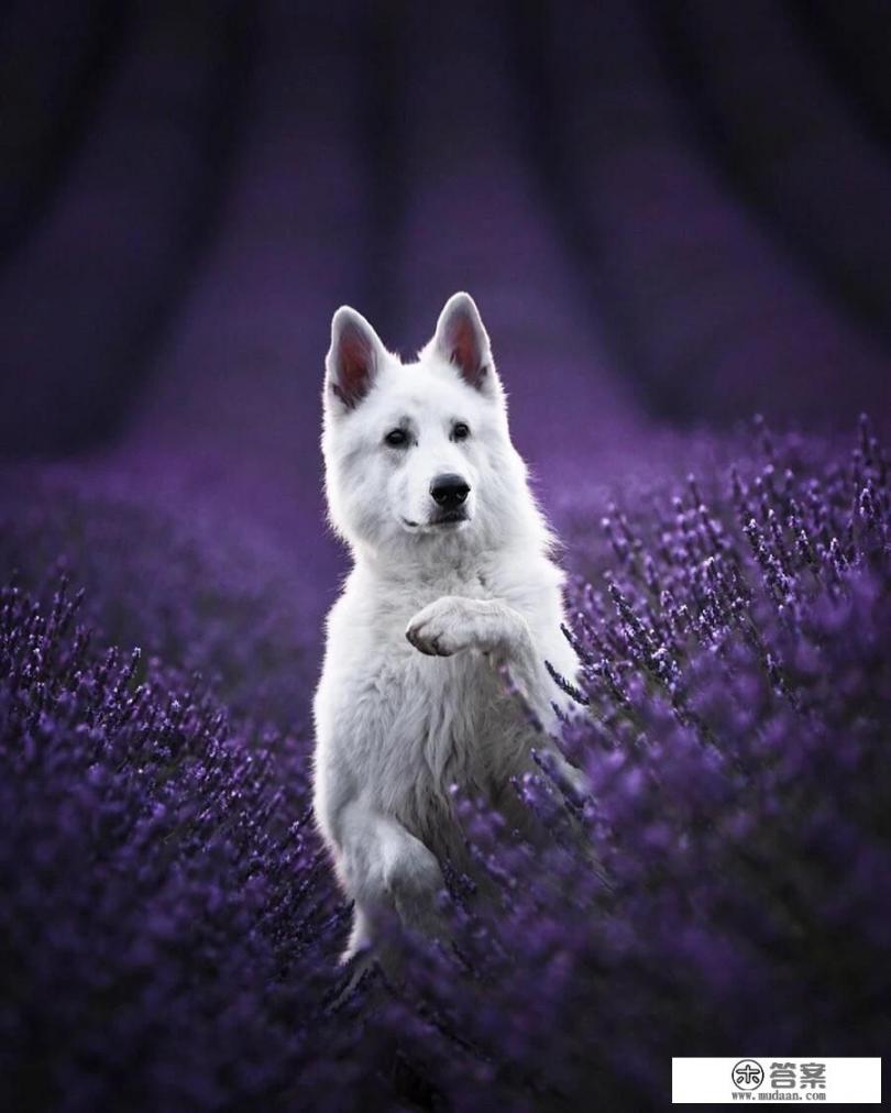 去国外怎么自由行？