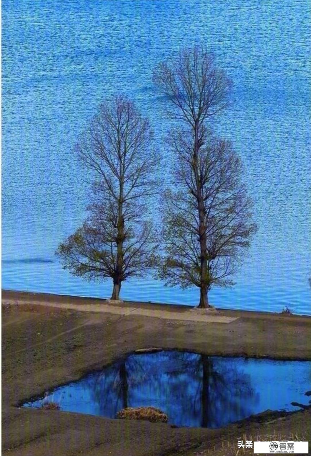 去国外怎么自由行？