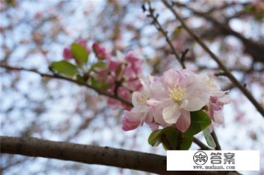 想去丽江的女人心态？