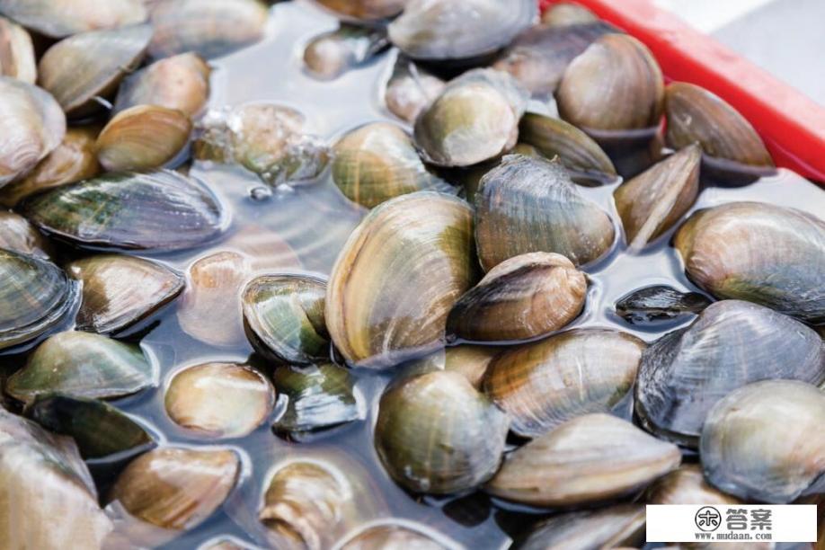 河蚌怎么清洗干净？