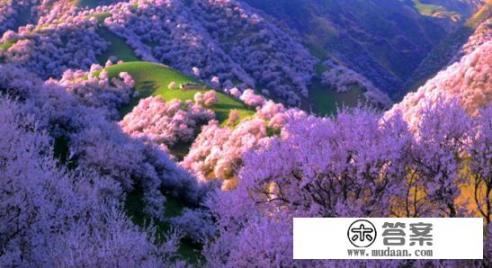 新疆的伊犁杏花沟有多美？