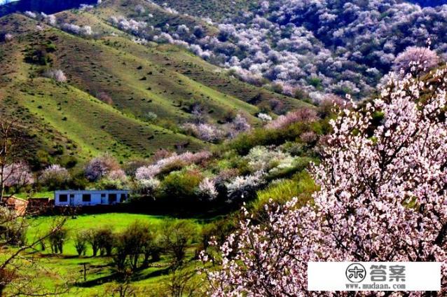 新疆的伊犁杏花沟有多美？