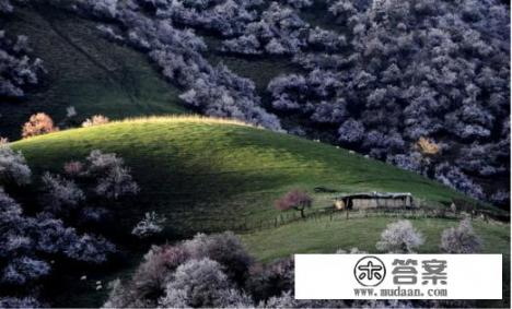 新疆的伊犁杏花沟有多美？