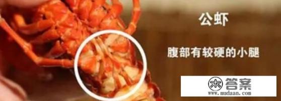 龙虾怎么吃? 龙虾怎么吃?