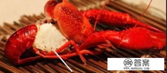 龙虾怎么吃? 龙虾怎么吃?