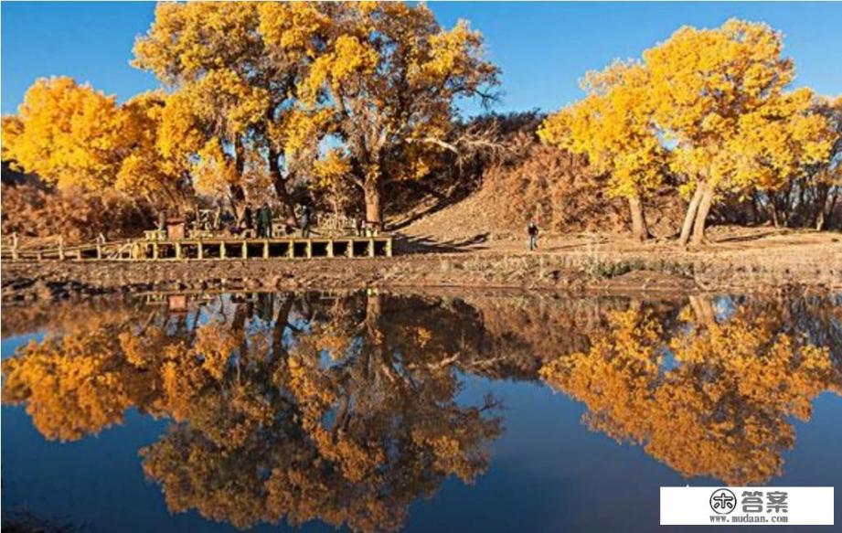 有没有描写自然景色的10句句子？