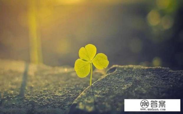 switch体感跑步游戏？