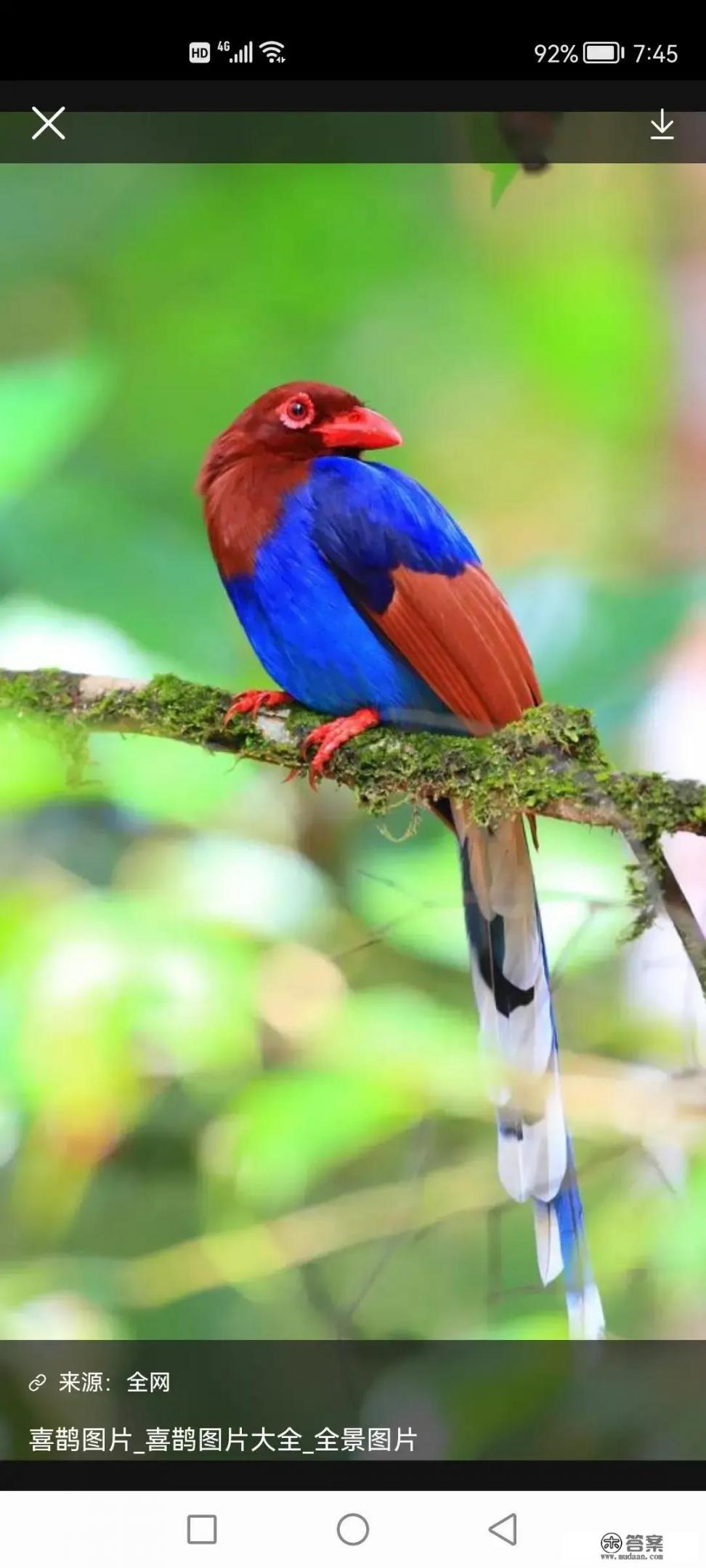 适合徒步旅行的地方？