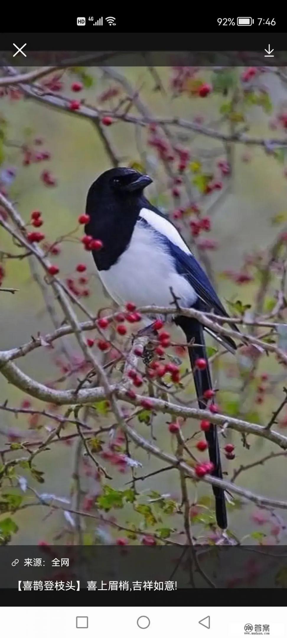 适合徒步旅行的地方？