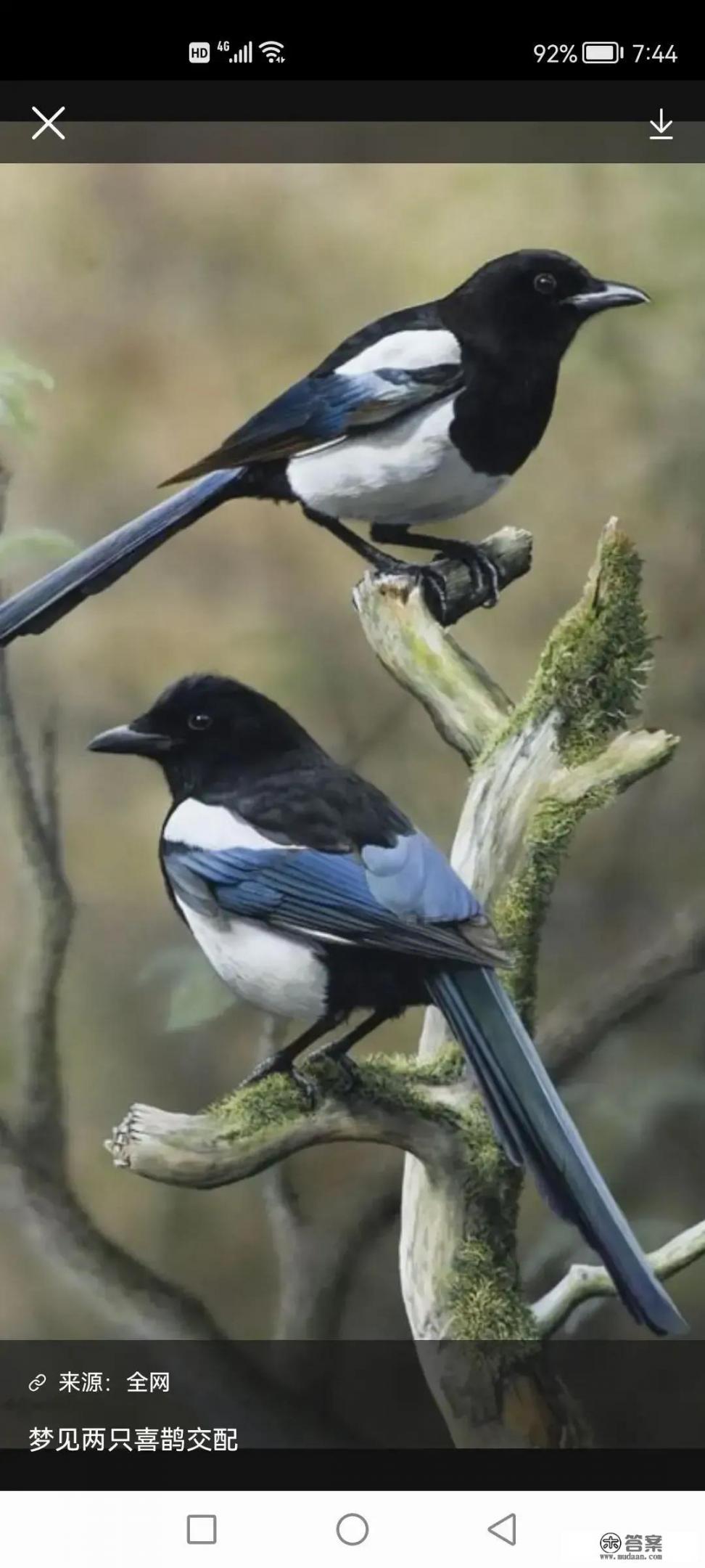 适合徒步旅行的地方？
