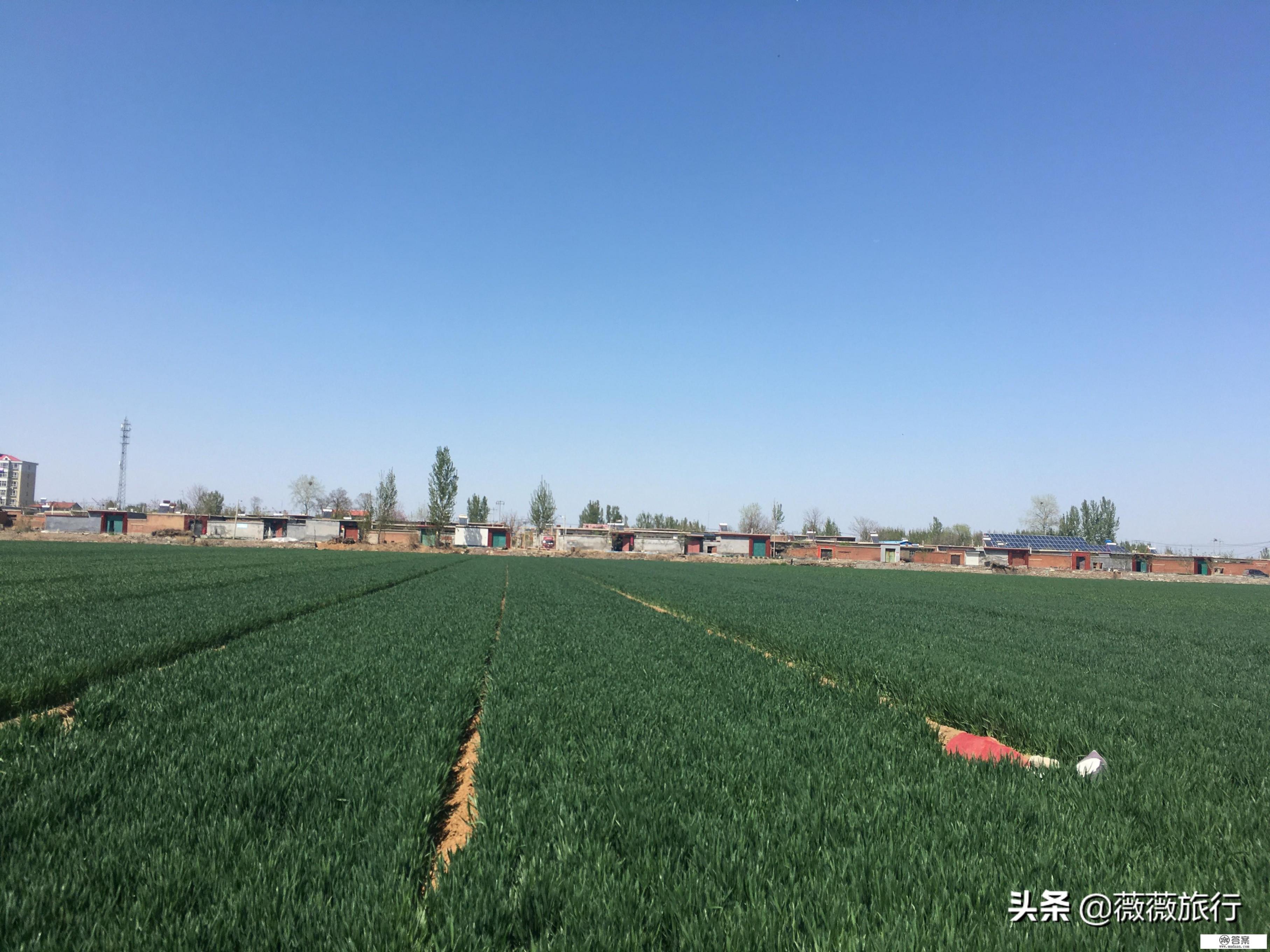 假期旅游的好处和目的? 假期旅游的好处和目的?