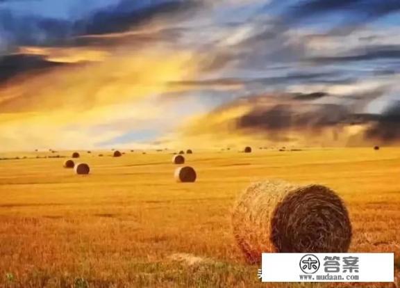 中国草原旅游休闲景点有哪些？