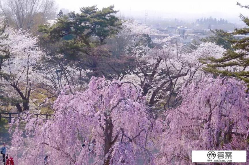 想去日本旅游，日本本州和九州都有哪些城市呀？