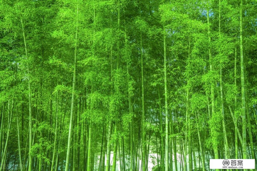 患癌11年,去参加亲侄子的婚礼,被嫌弃指责,我错了吗? 患癌11年,去参加亲侄子的婚礼,被嫌弃指责,我错了吗?