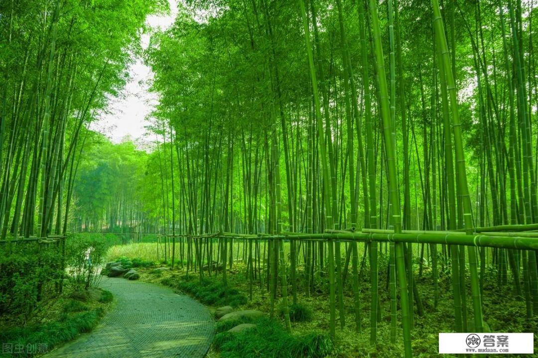 患癌11年,去参加亲侄子的婚礼,被嫌弃指责,我错了吗? 患癌11年,去参加亲侄子的婚礼,被嫌弃指责,我错了吗?