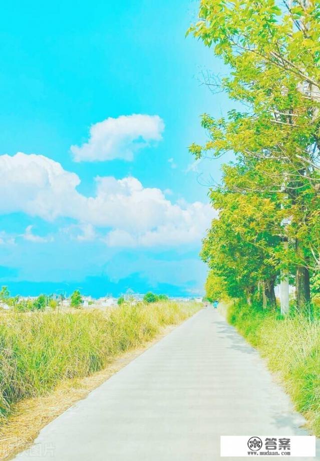 半生风雨半生寒一壶淡茶伴余生？