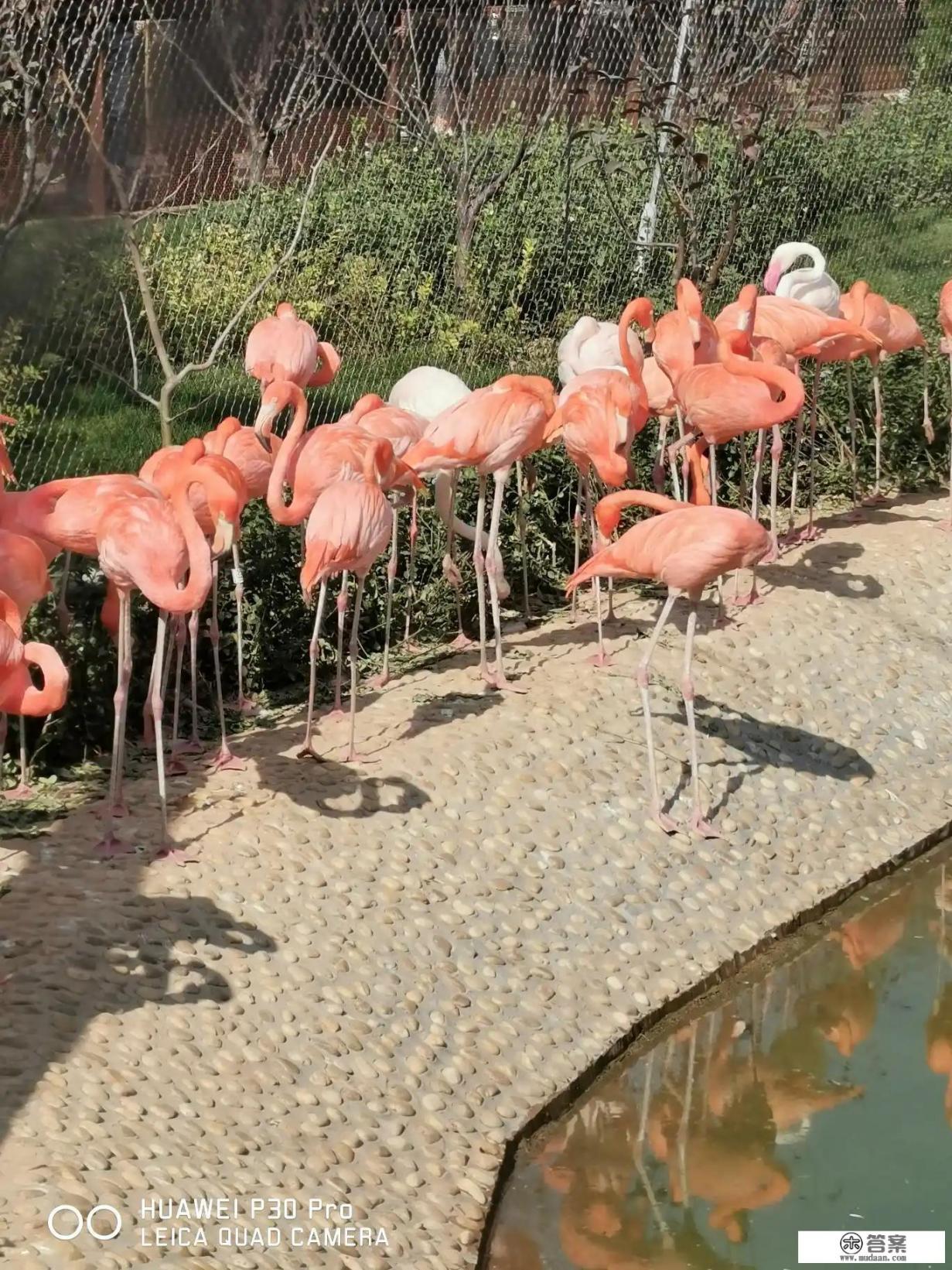 事发晋城！19岁小伙为偿还赌债网贷持刀夜闯民宅，杀死一人、捅伤两人, 你怎么看？