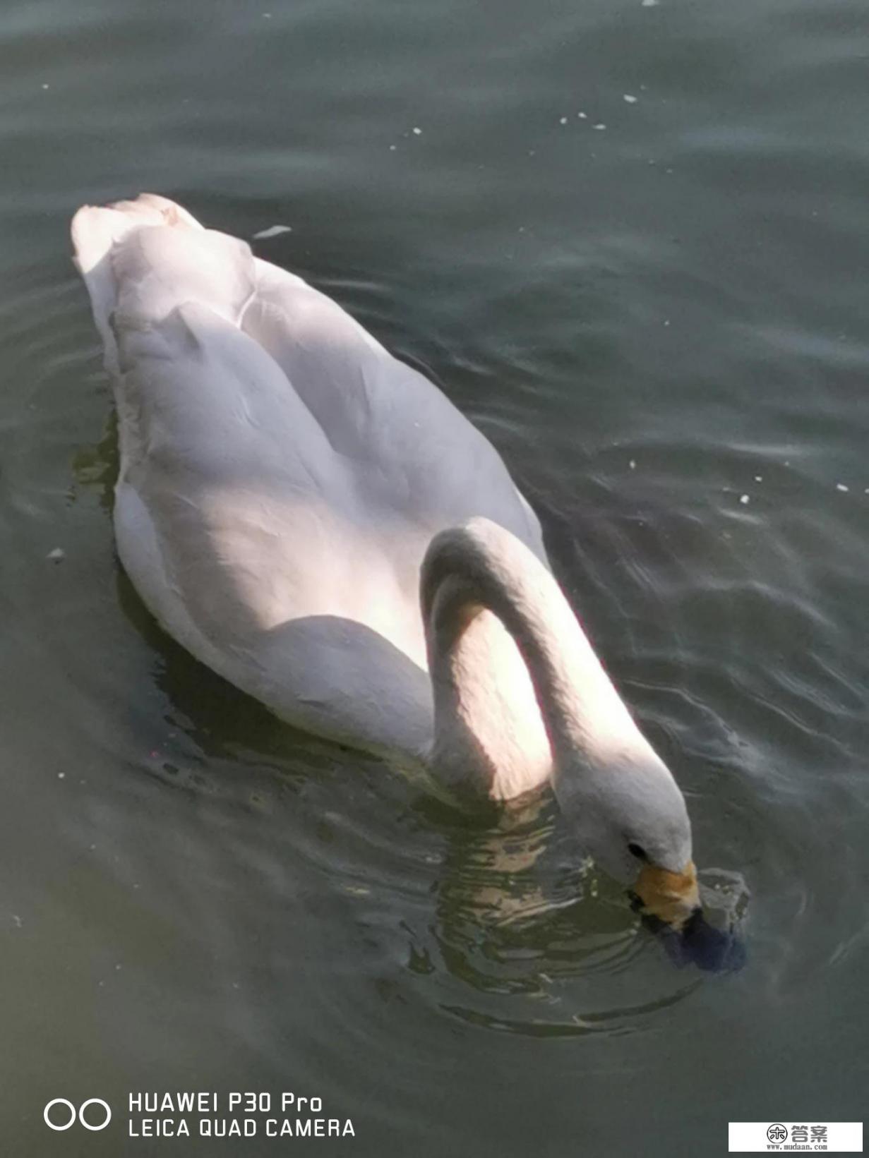 事发晋城！19岁小伙为偿还赌债网贷持刀夜闯民宅，杀死一人、捅伤两人, 你怎么看？