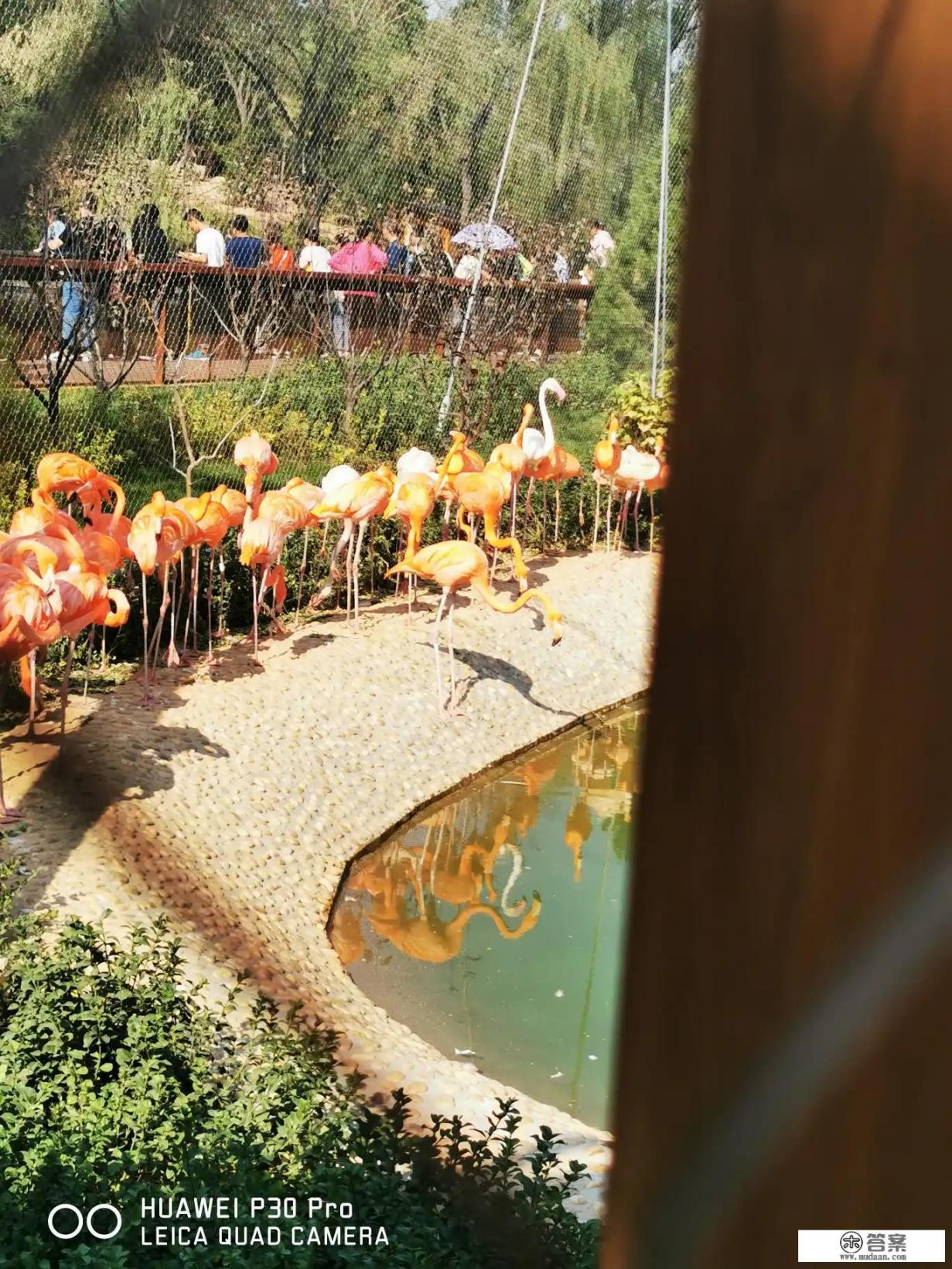 事发晋城！19岁小伙为偿还赌债网贷持刀夜闯民宅，杀死一人、捅伤两人, 你怎么看？