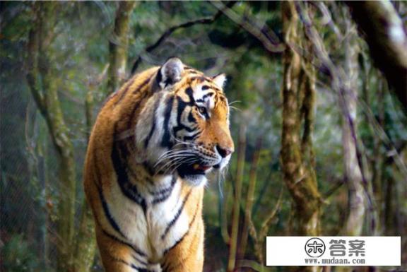 龙岩在哪里? 龙岩在哪里?