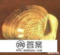 文蛤和花蛤的区别？