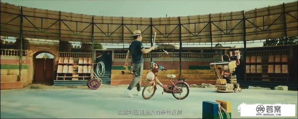 《疯狂的外星人》中的猴子为何如此听话？