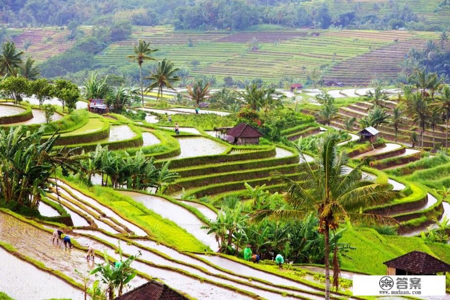 印尼旅游攻略和费用？