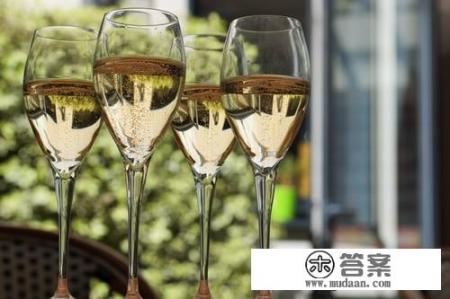 葡萄酒最全基础知识? 葡萄酒最全基础知识?