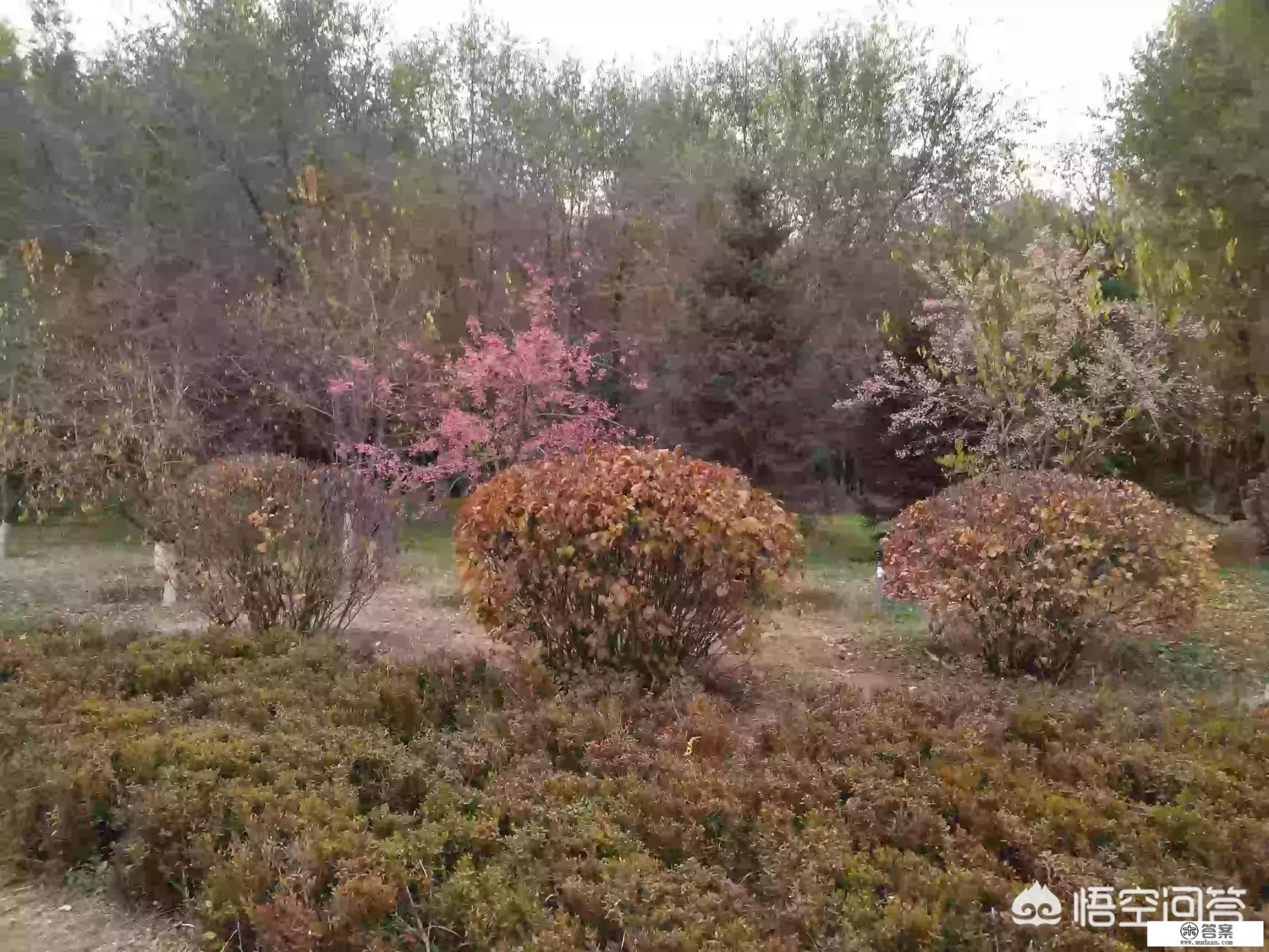 为什么领导总是一直让你喝酒？