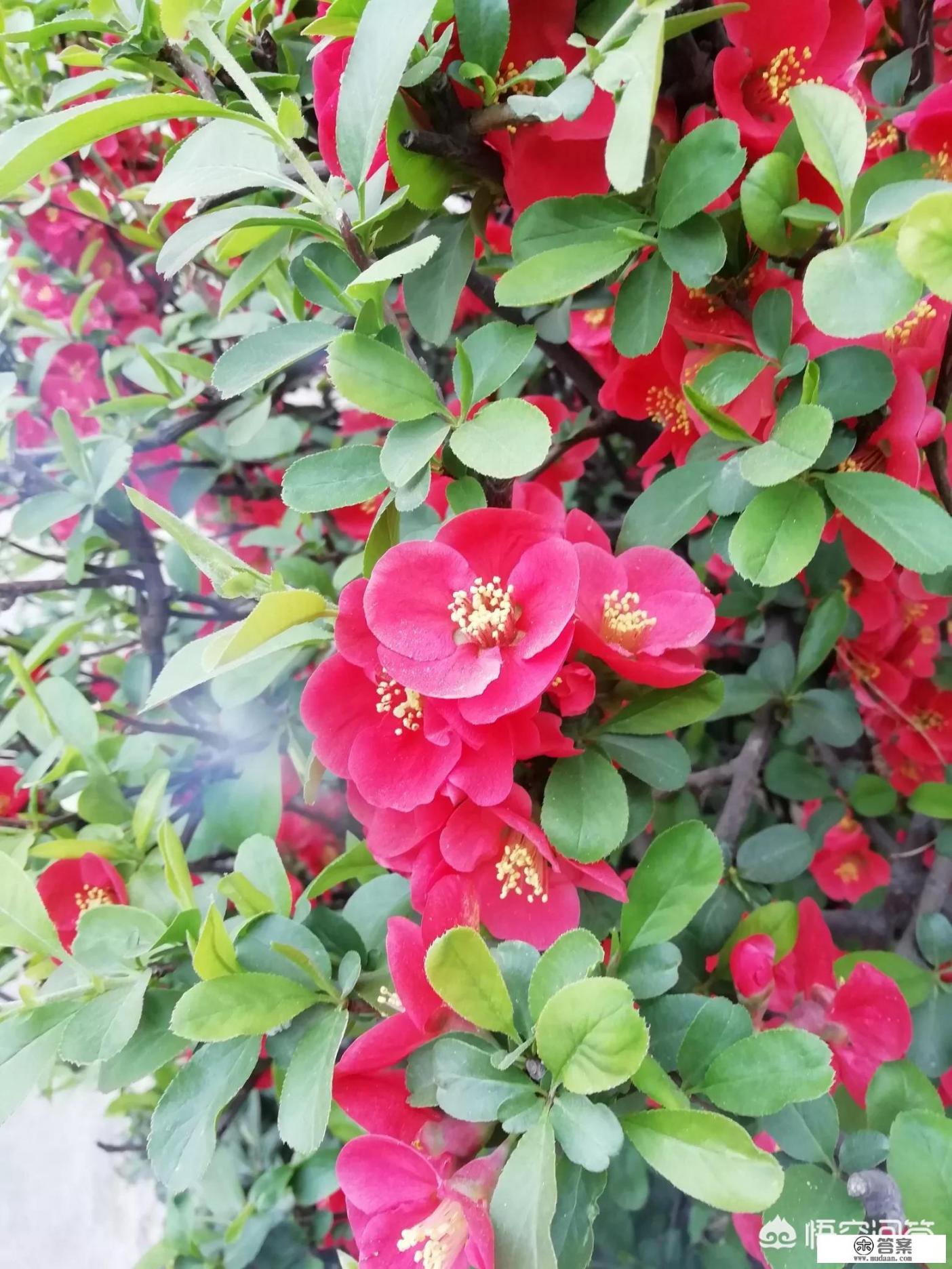 为什么领导总是一直让你喝酒？