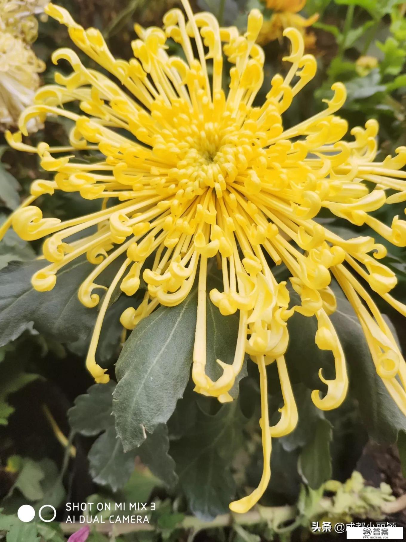 我喜欢你男朋友很久了内容概括？