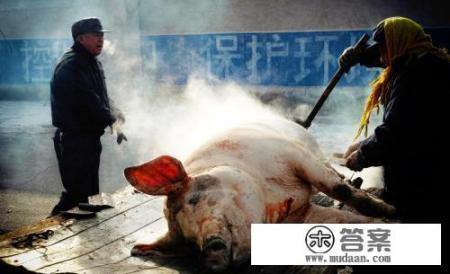 东北杀猪菜怎么做？