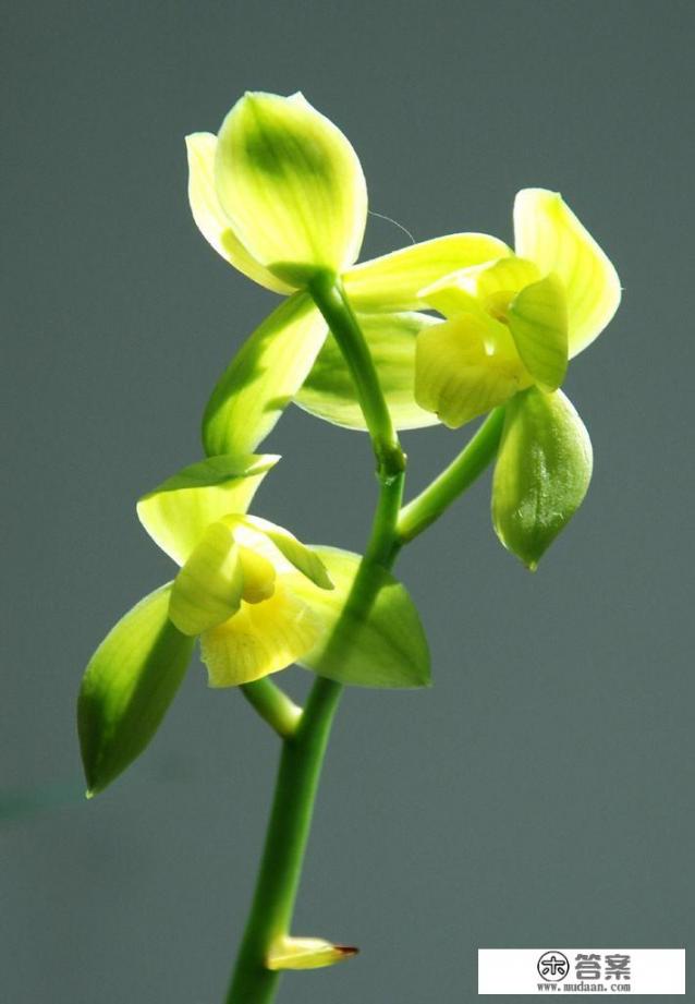我现在大2男朋友29了，他想要等我一毕业就结婚，所以女生结婚早好还是晚点好？