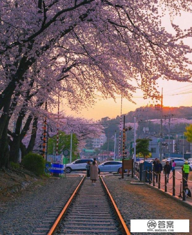 有人说自己不会试图挽留一个准备离开的人，那么你会这样做吗？为什么？