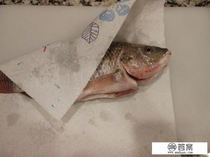 月子鲫鱼豆腐汤怎么做？