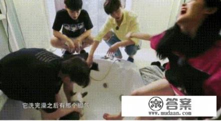 《Hi室友》周洁琼胡先煦互动有爱，路人女朋友见到不会吃醋吗？