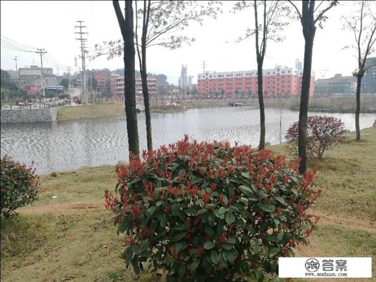 不用网络也可以玩网络游戏？